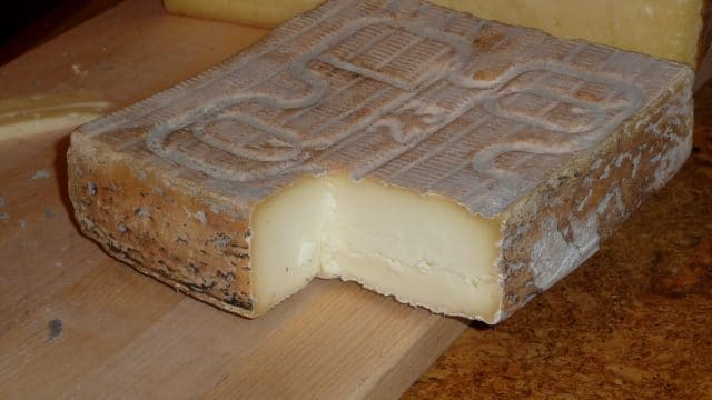 What Can I Substitute for Fontina Cheese? 3