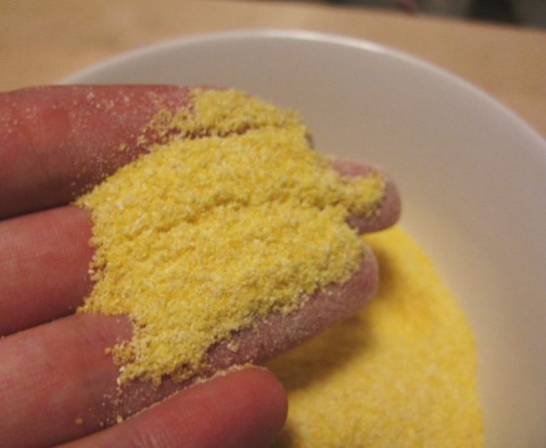 What can I Substitute for Cornmeal? 5 Cornmeal Alternatives