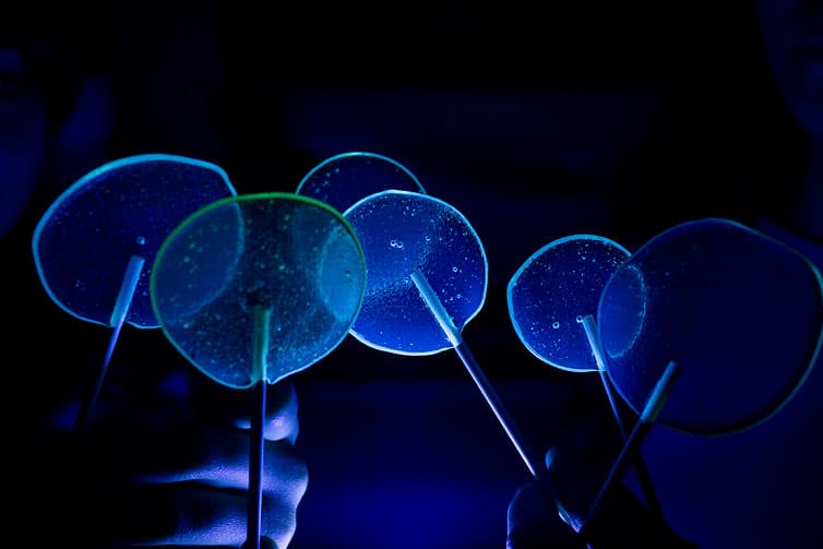 Fun Experiment to Create Tonic Water Based Fluorescent Lollipops 6