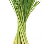 20 Lemongrass Substitutes to Spice Up Recipes for your Kitchen