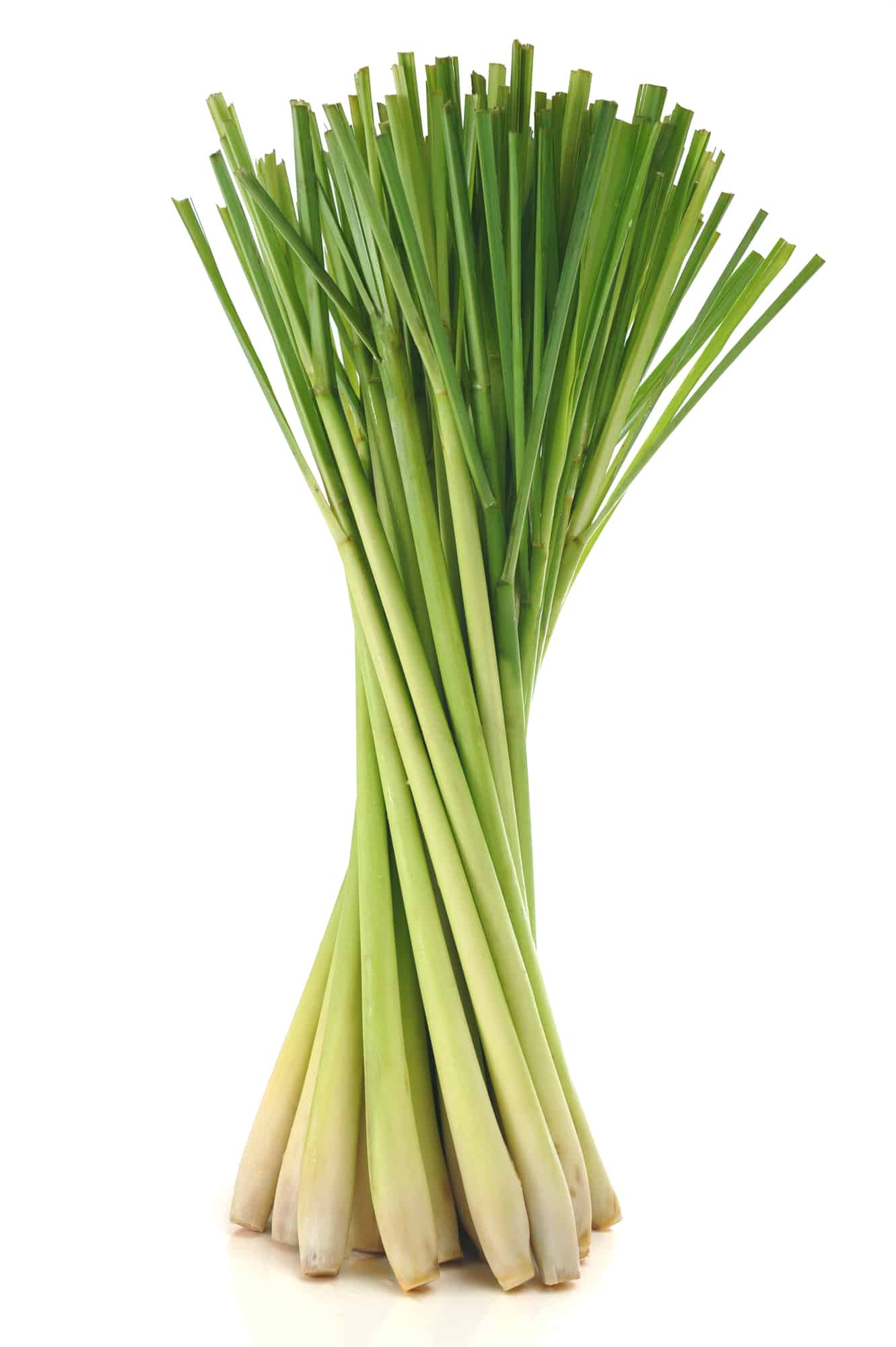 20 Lemongrass Substitutes to Spice Up Recipes for your Kitchen 5