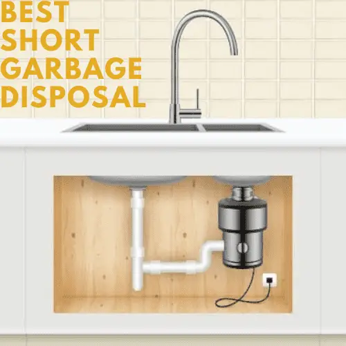 10 Best Short Garbage Disposals for Sinks 2022 1